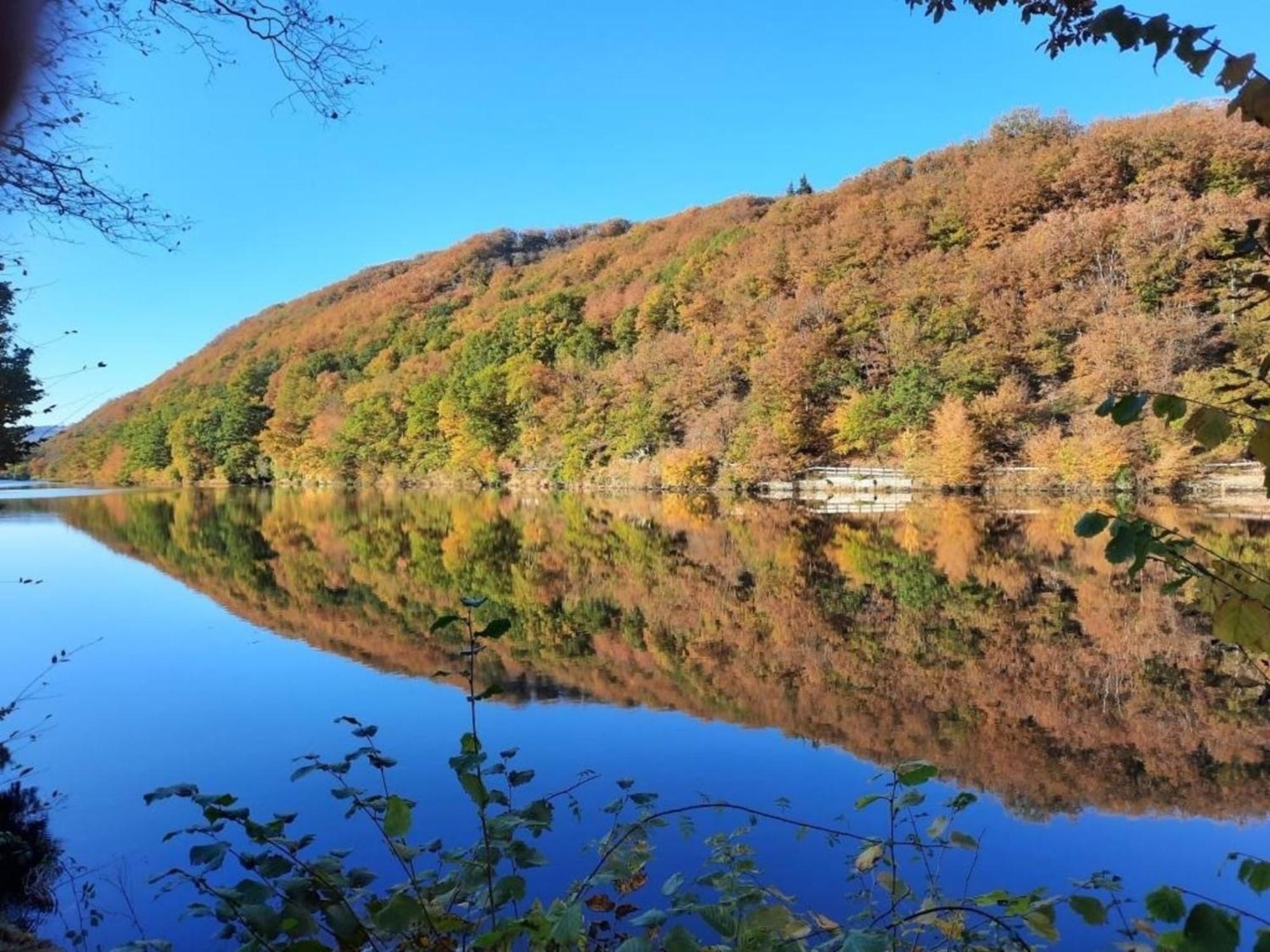 Ferienhaus &#039Freund Am See&#039 1 Heimbach Luaran gambar